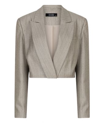 Ibana_Jelah_Pinestripe_blazer_Grijs_licht