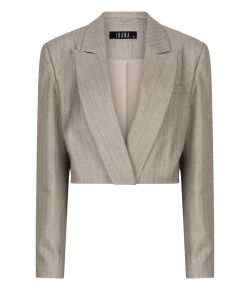 Ibana_Jelah_Pinestripe_blazer_Grijs_licht