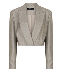 Ibana_Jelah_Pinestripe_blazer_Grijs_licht