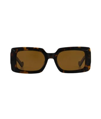 Ibana_adamo_caramello__Bruin