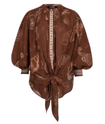 Ibana_tinca_Shell__Bruin_donker