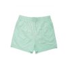 New Amsterdam Surf Association Logo Boardshort  Groen mint