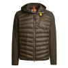 Parajumpers Heren Jacket nolan man Groen Donker 